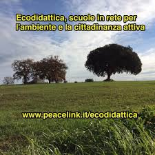 ecodidattica